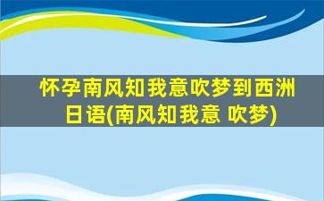 怀孕南风知我意吹梦到西洲日语(南风知我意 吹梦)